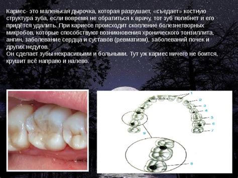 Роль на костную систему, зубы и профилактика заболеваний