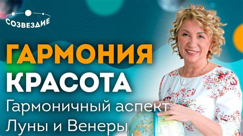 Роль невестки в бытовых делах свекрови: практическая помощь и взаимная выгода