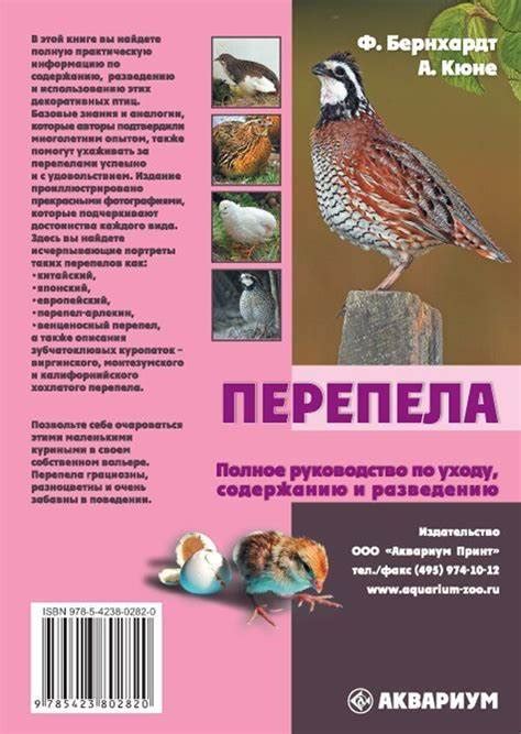 Роль нутриентов и витаминов в свежем яйце и их сохранение при включении в состав борща