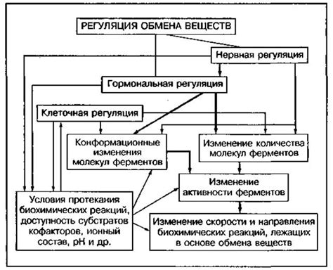 Роль обмена веществ в сохранении равновесия в организме и согласованности функций