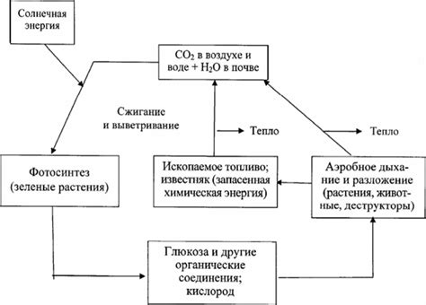 Роль оксида углерода в специфических химических процессах