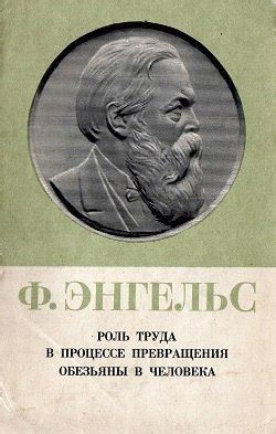 Роль оом в процессе трезвления простаты