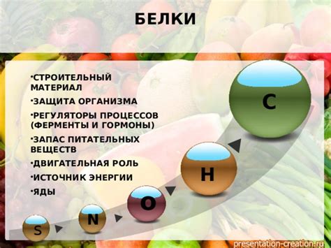 Роль органических веществ в корме, способствующих развитию клубники