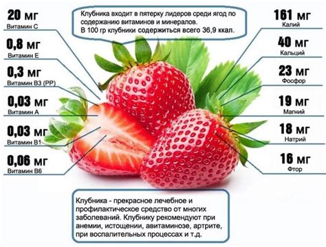 Роль осенней обрезки для сохранения и поддержания здоровья клубники: полезные практики и наблюдения