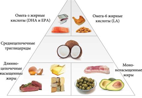 Роль особенного продукта внутри человеческого организма