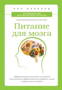 Роль питания в повышении эффективности работы мозга