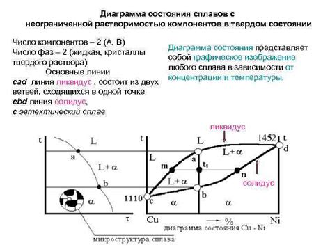 Роль питательных компонентов в твердом ядре кукурузы