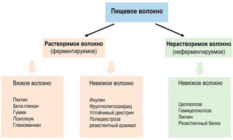 Роль пищевых волокон в состоянии здоровья ребенка