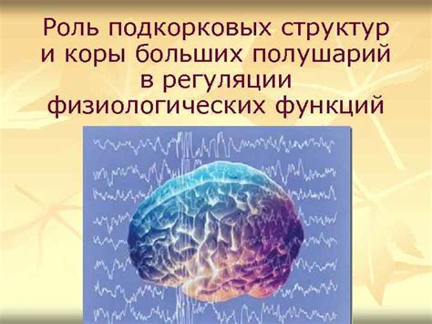 Роль подкорковых структур в липидном обмене