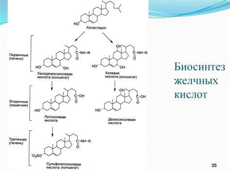 Роль полезных жирных кислот в организме растущего ребенка