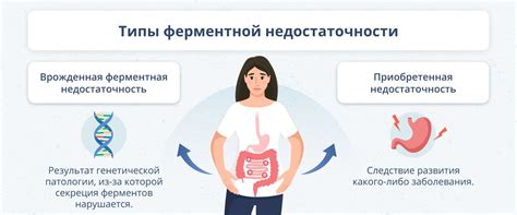 Роль полезных ферментов для поддержания здорового пищеварения