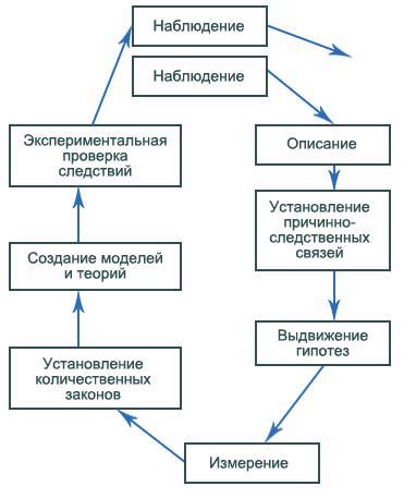 Роль представителей рационализма в процессе познания