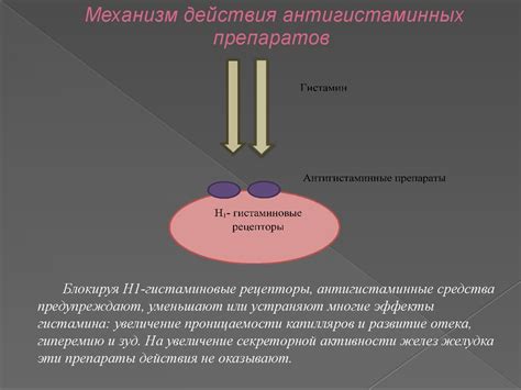 Роль препаратов антибактериальной терапии в лечении рецидивирующих заболеваний