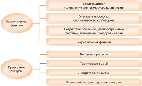 Роль притоков в хозяйственной деятельности человека