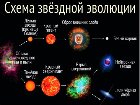 Роль пыли и газа в процессе формирования комет