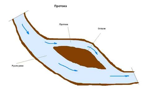 Роль реки Протока в биологическом сосуществовании Тульской природы