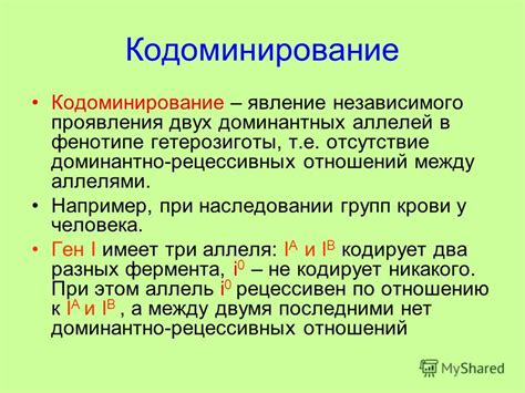 Роль рецессивных и доминантных аллелей в генетическом наследовании