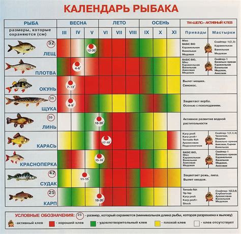 Роль рыбы в игровых заданиях и процессе рыбной ловли