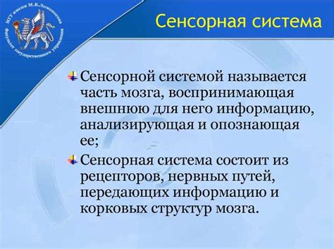 Роль сенсорных органов в восприятии силовых стимулов при изменении положения головы