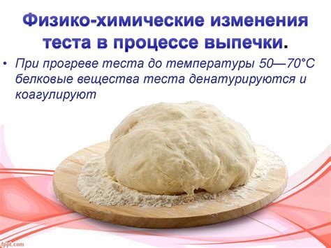 Роль солода в процессе приготовления выпечки