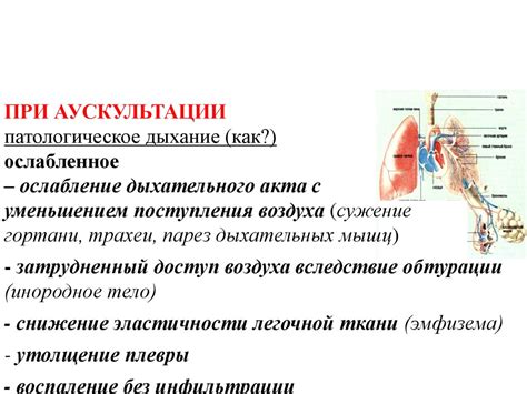 Роль специализированного отделения в лечении поражений дыхательной системы