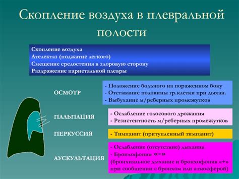 Роль средостения в функционировании дыхательной системы