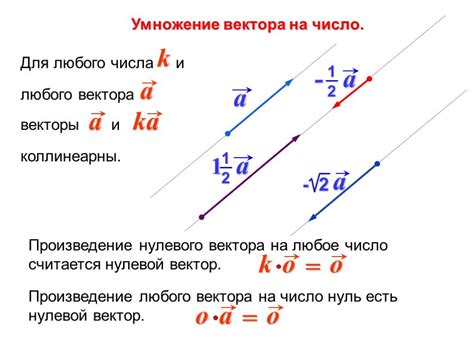 Роль умножения векторов в физике