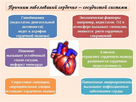 Роль фосфолипидов в поддержании здоровья сердечно-сосудистой системы