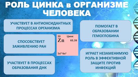 Роль цинка в организме человека