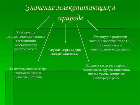 Роль человека в распространении сорной растительности и ответственность за их искоренение