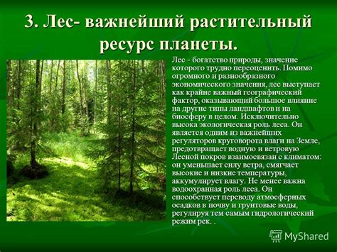 Роль человека в сохранении и охране степных и зарослевых лесов: влияние, меры и перспективы