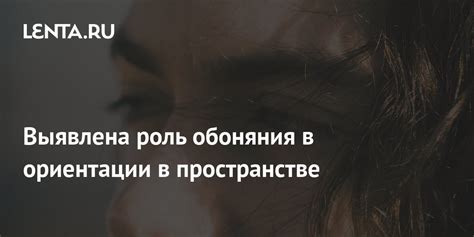 Роль чувства обоняния в определении доброжелательности или враждебности
