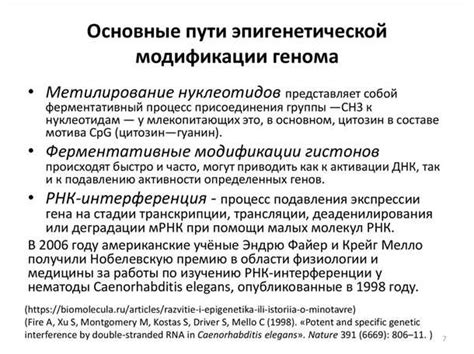 Роль эпигенетических маркеров в установлении породных особенностей у кошек