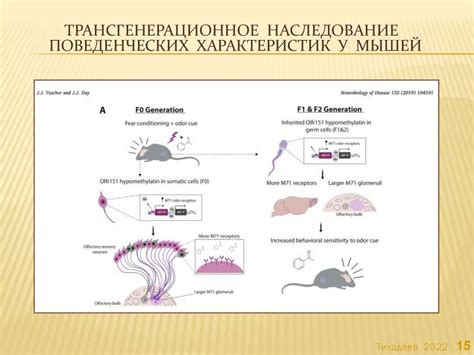 Роль эпигенетических механизмов