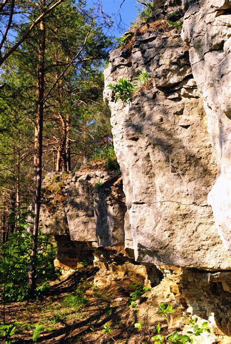 Роскошная природа Приказанья: посещение Национального парка "Кама-лама"