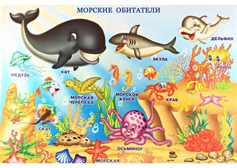 Российское побережье: морские обитатели и их уникальные особенности