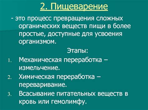 Ротовая полость: начало превращения сложных веществ в более простые и механическое размягчение пищи