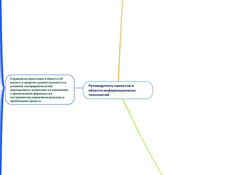 Руководитель проектов в области информационных технологий в крупной организации