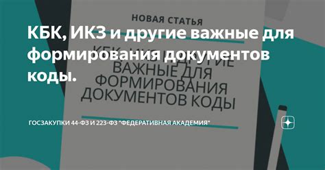 Руководство по использованию Кбк при формировании документов для бюджетных нужд