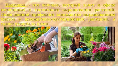 Садоводство: занимайтесь выращиванием растений и уходом за садом