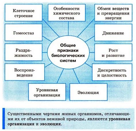 Сады как биологические системы и их важная роль в сохранении многообразия жизни