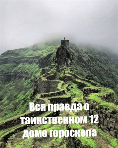 Сакральное значение безжизненных жаб в водной обстановке в миражах сновидений