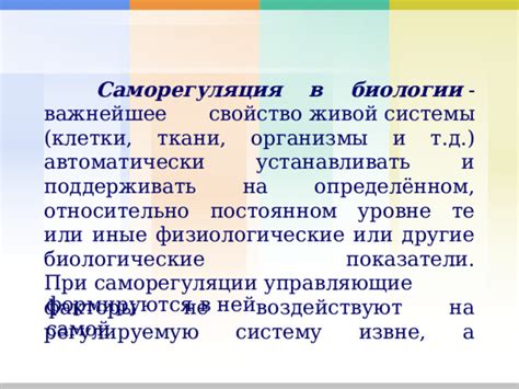 Саморегуляция в биологии: основные концепции и принципы