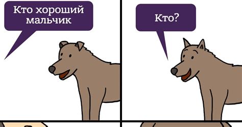 Сближение собаки и обезьяны: примеры дружбы в природе и жизни