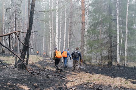 Свежие данные о месте возгорания в Свердловской области