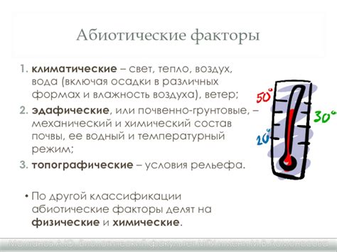 Свет, тепло, влажность: тройка ключевых факторов