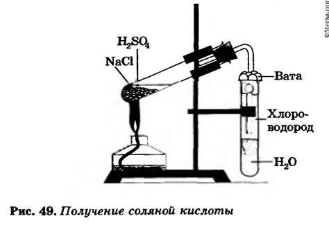 Свойства липидов и соляной кислоты