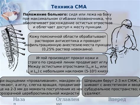 Связи между внутренними системами в поясничной области у представительниц прекрасного пола