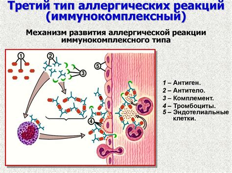 Связь Е536 и возникновение аллергических реакций