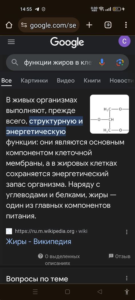 Связь между жвачкой и активацией жировых клеток в организме